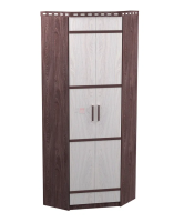 шкаф угловой 2-хдверный Ольга-13