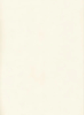 столешница влагостойкая № 10 белый (600*3000*38*1U) Союз